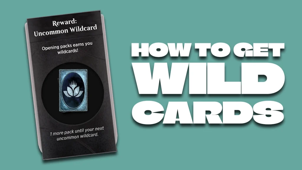 Wildcard vs. Wild Card: Which Is Correct?