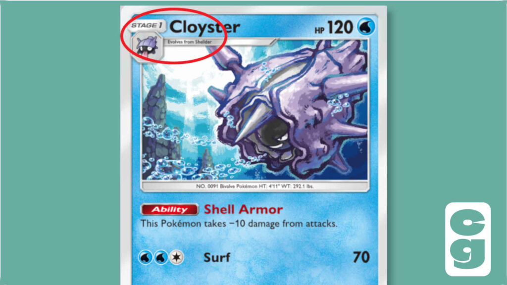 The Cloyster card from Pokémon TCG Pocket, with its Stage 1 evolution circled