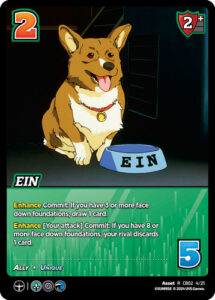 Asset Card Ein