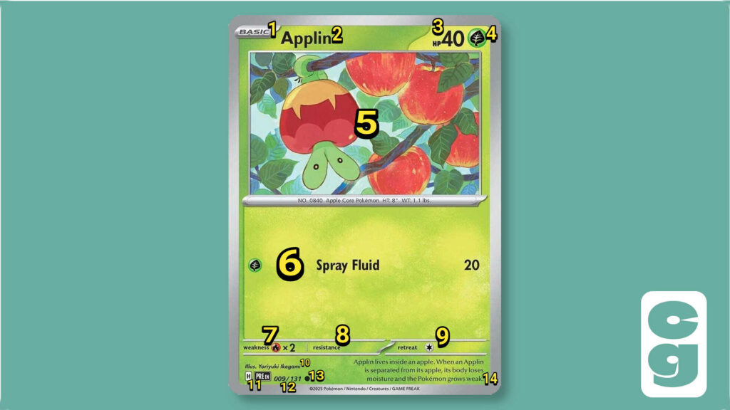 Pokémon Card Anatomy